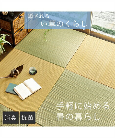 カーペット・ラグ ラグ 選べる6色スタイリッシュな畳素材のい草 置き畳 約65cm2枚セット ニッセン nissen