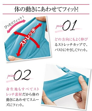 ブラジャー ワイヤー入り レディース トリンプ ストレッチ グラマーサイズ ショコラ/ブルー/ペールブルー/黒 E85〜G85 ニッセン