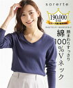 【店内全品★送料無料！4/19 AM10:59まで】Tシャツ カットソー 大きいサイズ レディース 綿100％ 長袖 無地 Vネック オフホワイト 黒 ネイビー 杢グレー ライトイエロー カーキ ピンク L LL 3L 4L 5L 6L 8L 10L 20代 30代 40代 50代 60代 ニッセン nissen