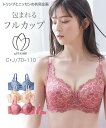 ブラジャー ワイヤー入り レディース 編レース フルカップ 日本製 ( トリンプ ) オフホワイト×サックス〜ブラウン×サックス C70〜H85 インナー 女性 ニッセン nissen