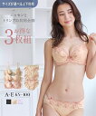 ショーツ(パンツ) ショーツ スタンダード レディース フラワー レース 3枚組 ( トリンプ ) 4L/5L/6L ニッセン nissen