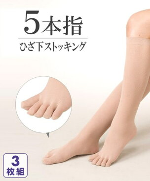 ストッキング レディース 5本指ハイ ソックス 丈 3足組 ベージュ/黒 22.0〜25.0cm ニッセン nissen