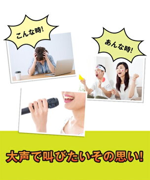 ダイエット・フィットネス用品 SAKEBOARD -サケボード- ストレス解消グッズ ストレス発散 ニッセン nissen