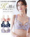 ブラジャー ワイヤー入り レディース バストをきれいに見せる ( トリンプ ) アイボリー×ラベンダー G70~G105 インナー 女性 ニッセン nissen