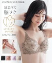 トリンプ ブラジャー 【店内全品★送料無料！4/19 AM10:59まで】ブラジャー ワイヤー入り 大きいサイズ レディース 脇ヘム フルカップ ( トリンプ ) イエロー〜黒×ブルー E90〜F105 インナー 女性 ニッセン nissen