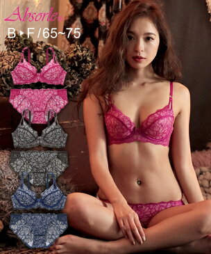 ブラジャー ＆ ショーツ セット レディース Absorle フリージアフルレース ネイビー/ブラック/ワイン B65_M〜F75_L ニッセン