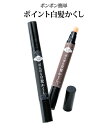 カラーリング 生え際専用 ぽんぽん白髪かくし ダークブラウン/ナチュラルブラック 2本組 ニッセン nissen