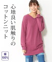 チュニック 大きいサイズ レディース 洗える 綿100% V...