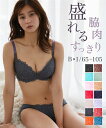 ブラジャー ショーツ セット レディース 脇高レーシー アイボリー/ブラック B65_M〜D85_LL ブラショーツ 女性 インナー パンツ パンティ ニッセン nissen