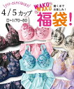 福袋 ブラジャー ショーツ セット レディース グラマーサイ...
