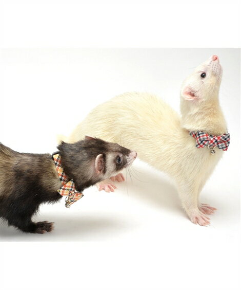 ペット Amoworks フェレット用 カラー チェックリボン イエロー/レッド S/M ニッセン nissen