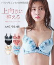 ブラショーツセット 脇高刺しゅうレースブラジャー ショーツセット（コスモス）（トリンプ） ニッセン nissen