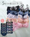ブラショーツセット ブラジャー ショーツ セット 大きいサイズ レディース 小花柄 刺しゅう 5セット組 G85_LL-3L~H100_4L-5L ニッセン nissen