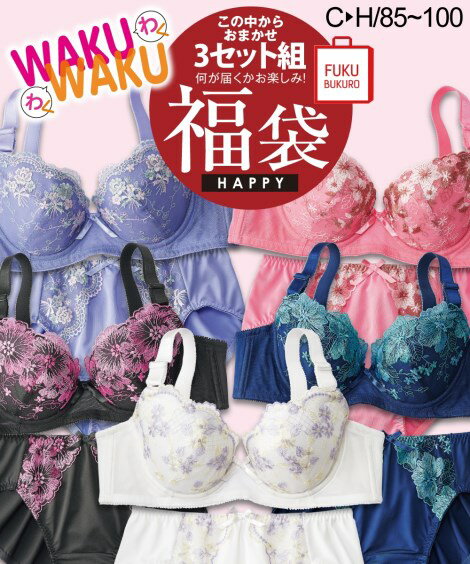 【店内全品対象★25%OFFクーポン配布中★先着1,500名限定 11/20 20時開始】福袋 レデ ...