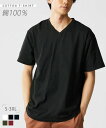 Tシャツ カットソー メンズ 綿100% 無地 Vネック 半袖 アーミーグリーン/ネイビー/バーガンディ/ブラック/ホワイト 3L/4L ビッグ ラージ トップス ニッセン nissen