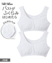 【店内全品対象★25%OFFクーポン配布中★先着1,200名限定 5/9 20時開始】ブラジャー ジュニア ノンワイヤー ブラ キッズ ソフトカップ付 白無地 ...