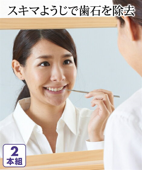 ☆ オーラルケア デンタルケア 歯垢 ヤニとり 2本組 ニッセン nissen