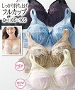 ブラジャー ワイヤー入り 大きいサイズ レディース バストをしっかり包む フルカップ 編みレースタイプ 黒系 B85~D95 インナー 女性 ニッセン nissen