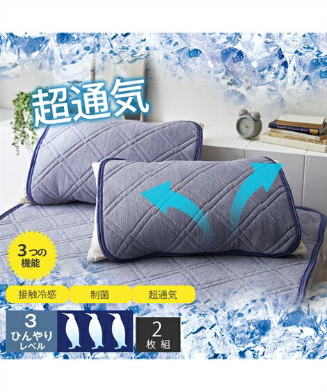 枕パッド もっちり 超冷感 制菌加工 超通気 中わた 3D メッシュ 同色2枚組 ブルー 43×63cm用 ニッセン nissen