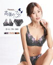ブラジャー ショーツ セット 大きいサイズ レディース 高嶺のブラ プレミアム 脇スッキリタイプ クラウドグレー×ブルー D95_3L-4L/D100_4L-5...