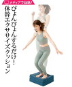 体幹ぴょんぴょん ホップ ステッパー ネイビー/ブラウン ニッセン n...(4)