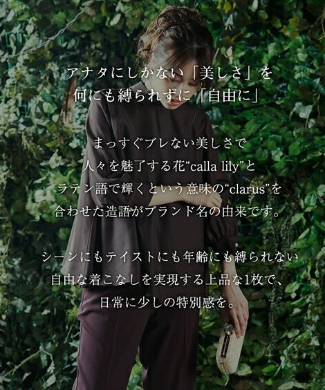 ドレス セットアップ レディース 結婚式 パーティー Callarus ビンテージ サテン バックリボン ブラウス ＋ テーパード パンツ ネイビー/ボルドー系 LL/3L ニッセン nissen