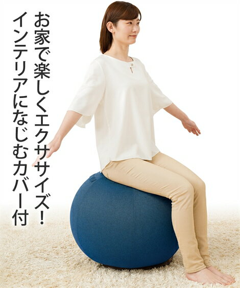 体幹エクサ バランスボール ネイビー/ブラウン ニッセン nissen