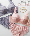 ブラジャー ショーツ セット レディース 大人淑女の 脇高すっきりU バック バストを包む総 レース フルカップタイプ2セット組 グレイッシュブルー オフホワイ...