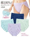 【店内全品対象★25%OFFクーポン配布中★先着1,200名限定 5/9 20時開始】ショーツ スタンダード レディース 綿100% 天竺 ゴムが取替できる や...