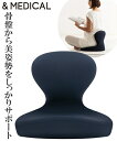 ＆MEDICAL BOLLARD CHAIR メディカル ボラード チェア オリーブ/ネイビー ニッセン nissen その1