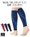 毎日をあしスタント ふくらはぎ サポーター 3色セット ローズ、ネイビー、ブラック ニッセン nissen