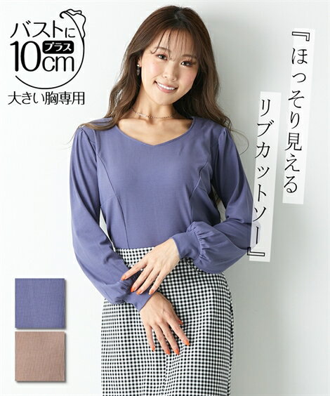 Tシャツ カットソー レディース 大きい胸専用 リブ Vネック デザイン 長袖 ブルーベリー/モカ LL ニッセン nissenのサムネイル