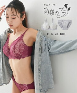 ブラジャー ショーツ セット レディース 高嶺のフルカップ 脇スッキリタイプ アップリケ× レース クリーム/グレー E70_M〜F80_L ブラショーツ 女性 インナー パンツ パンティ ニッセン nissen