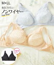 ブラジャー ノンワイヤー レディース まいにち着けたい サックス/ベージュ M/L ニッセン nissen
