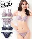 ＼クーポンで40％OFF 10/24 9:59まで／ブラジャー ショーツ セット レディース アンティークローズブルーム レース ソフトワイヤータイプ グレージュ/ネイビー A70_M〜D80_L ニッセン nissen