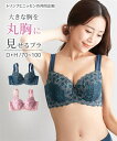 ブラジャー ワイヤー入り レディース グラマーバストをきれいに丸胸に見せる ( トリンプ ) サクラピンク/シーグリーン G80~H100 インナー 女性 ニッセン nissen