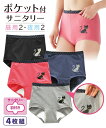 ショーツ サニタリー 生理用 大きいサイズ レディース 綿混 ストレッチ ポケット付深ばき丈サニタリー 昼用2枚夜用2枚4枚組 羽付ナプキン対応 ねこ柄 4L/...