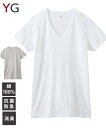 インナー シャツ 半袖 メンズ グンゼ YG 吸汗速乾 消臭 綿100% Vネック 夏 グレー/白 M/L/LL/3L 男性 肌着 下着 ニッセン nissen