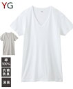 インナー シャツ 半袖 メンズ グンゼ YG 吸汗速乾 消臭 綿100％ Vネック 夏 グレー/白 M/L/LL/3L 男性 肌着 下着 ニッセン nissen