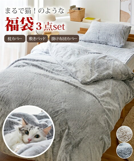 ＼割引クーポンあり★11/13 9:59まで／ベッドカバー・布団カバー・敷きパッド 【福袋】猫と眠る寝具3点セット（猫Feel） ニッセン nissenのサムネイル