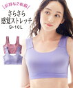 ノンワイヤーブラジャー 大きいサイズ レディース バストをしっかり包む 良く伸びる ストレッチ ゴム仕様シームレス ハーフトップ 2枚組 ピンク パープル 4L/5L/6L/8L/10L ノンワイヤー ブラジャー 女性 インナー ニッセン nissen