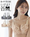 【最大10%OFF SALE!7/11 10:59まで】ブラジャー レディース いでよ 谷間 フロラシオン レース インナー 女性 チャコール/ブラウン E75...
