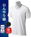 インナー シャツ 半袖 大きいサイズ メンズ ひんやり冷感 綿100% 速乾V首 2枚組 夏 ビッグ ラージ 男性 肌着 下着 白2枚組 3L/4L/5L ニッ...