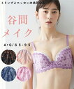 ブラジャー レディース 二配色 デザイン ( トリンプ ) インナー 女性 ピンク×シャーベットピンク/ピンクパール×ライラック/ブラック×ブラウン/ブルーシャドー×ネイビー/ラベンダー×クリーム A70~G95 ニッセン nissen