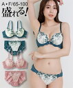 ブラジャー ショーツ セット レディース クラシカルフラワー ブラショーツ 女性 インナー パンツ パンティ グリーン/ピンクブラウン A65_M〜F100_5...