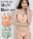 【店内全品対象★25%OFFクーポン配布中★先着1,200名限定 5/23 20時開始】ブラジャー ショーツ セット レディース 脇高ヘルシー レース ブラショーツ 女性 インナー パンツ パンティ オレンジ/グリーン A65_M〜F100_5L ニッセン nissen(4)