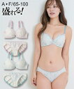 ブラジャー ショーツ セット レディース 小花刺しゅう レース ブラショーツ 女性 インナー パンツ パンティ グリーン/ピンク A65_M〜F100_5L ニ...