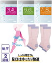 レディース インナー 大きいサイズ ぽっちゃり