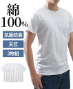 インナー シャツ 半袖 メンズ 抗菌防臭 加工 綿100% 天竺クルーネック 3枚組 春 夏 秋 冬 男性 肌着 下着 白3枚組 M~10L ニッセン nissen