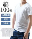 インナー シャツ 半袖 メンズ 抗菌防臭 加工 綿100% 天竺Vネック 3枚組 春 夏 秋 冬 男性 肌着 下着 白3枚組 M~10L ニッセン nissen